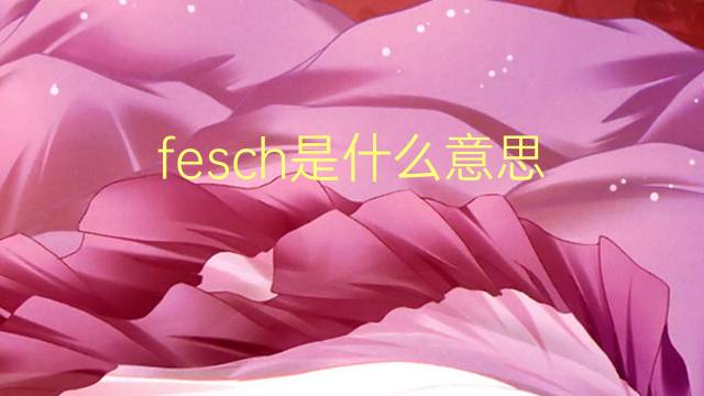 fesch是什么意思 fesch的翻译、读音、例句、中文解释