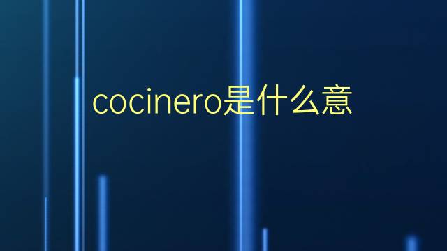 cocinero是什么意思 cocinero的翻译、读音、例句、中文解释