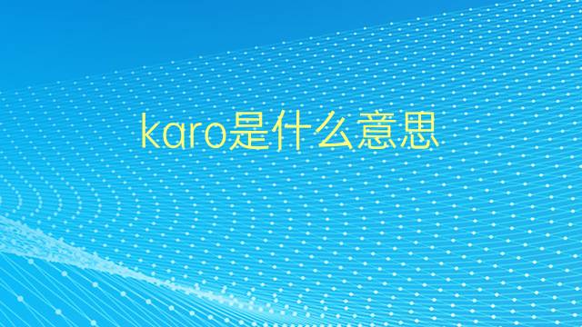 karo是什么意思 karo的翻译、读音、例句、中文解释