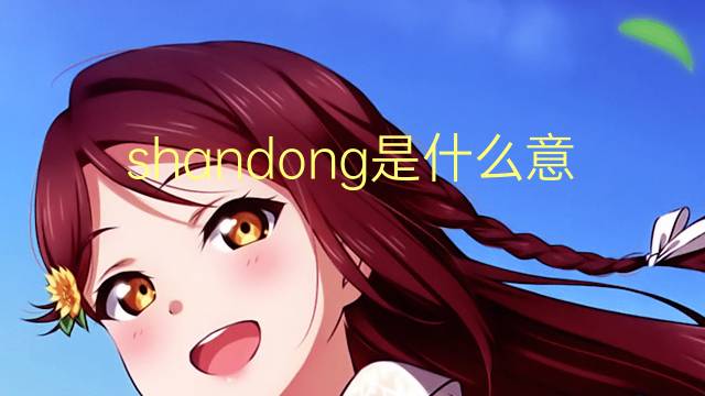 shandong是什么意思 shandong的翻译、读音、例句、中文解释