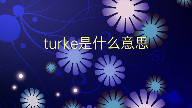 turke是什么意思 turke的翻译、读音、例句、中文解释