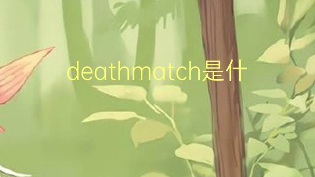 deathmatch是什么意思 deathmatch的翻译、读音、例句、中文解释