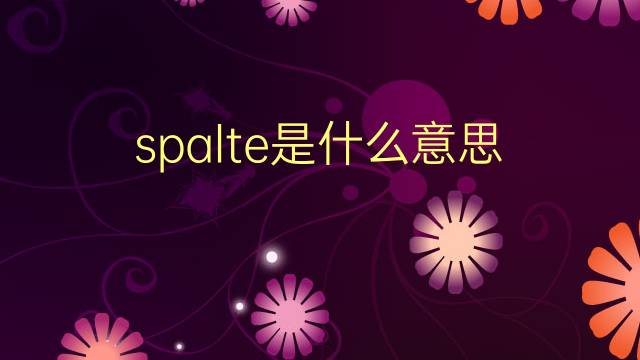 spalte是什么意思 spalte的翻译、读音、例句、中文解释