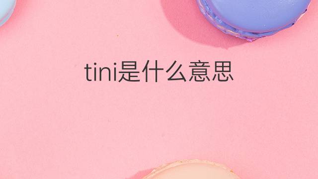 tini是什么意思 tini的翻译、读音、例句、中文解释