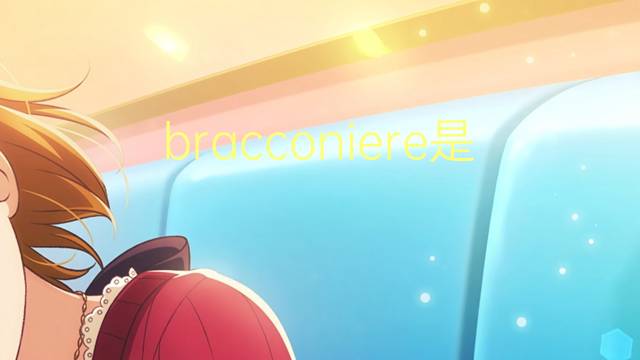 bracconiere是什么意思 bracconiere的翻译、读音、例句、中文解释