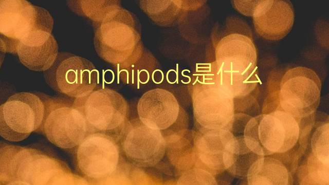 amphipods是什么意思 amphipods的翻译、读音、例句、中文解释