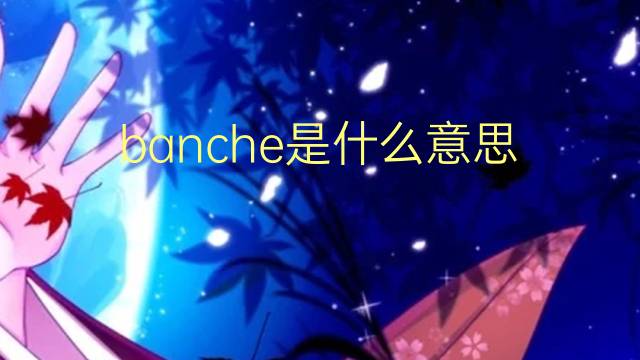 banche是什么意思 banche的翻译、读音、例句、中文解释