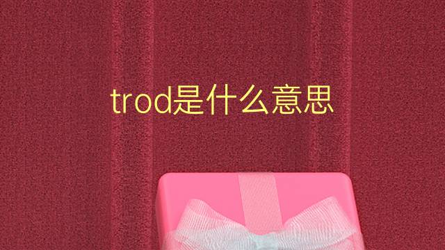 trod是什么意思 trod的翻译、读音、例句、中文解释