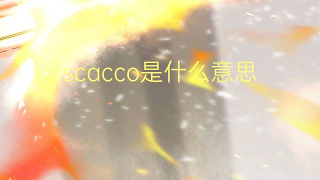 scacco是什么意思 scacco的翻译、读音、例句、中文解释