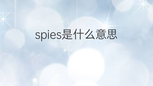 spies是什么意思 spies的翻译、读音、例句、中文解释