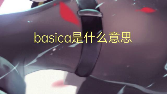 basica是什么意思 basica的翻译、读音、例句、中文解释