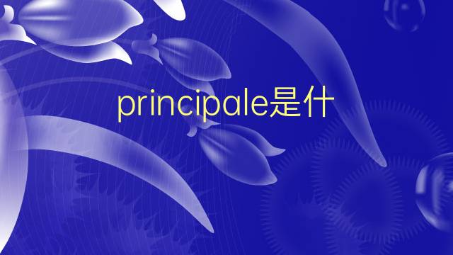 principale是什么意思 principale的翻译、读音、例句、中文解释