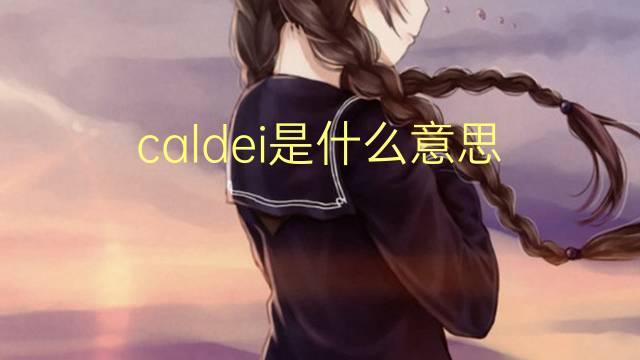 caldei是什么意思 caldei的翻译、读音、例句、中文解释