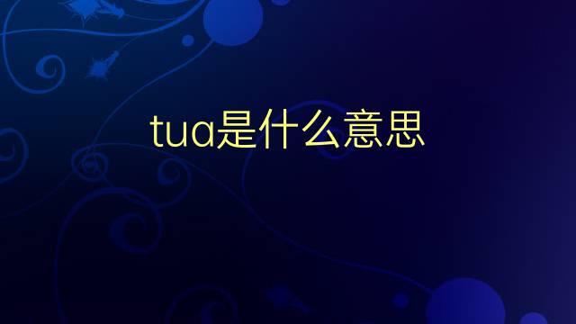 tua是什么意思 tua的翻译、读音、例句、中文解释