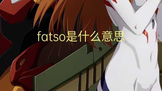 fatso是什么意思 fatso的翻译、读音、例句、中文解释