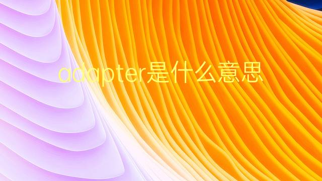 adapter是什么意思 adapter的翻译、读音、例句、中文解释