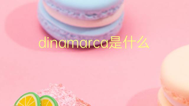 dinamarca是什么意思 dinamarca的翻译、读音、例句、中文解释