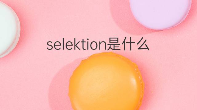 selektion是什么意思 selektion的翻译、读音、例句、中文解释