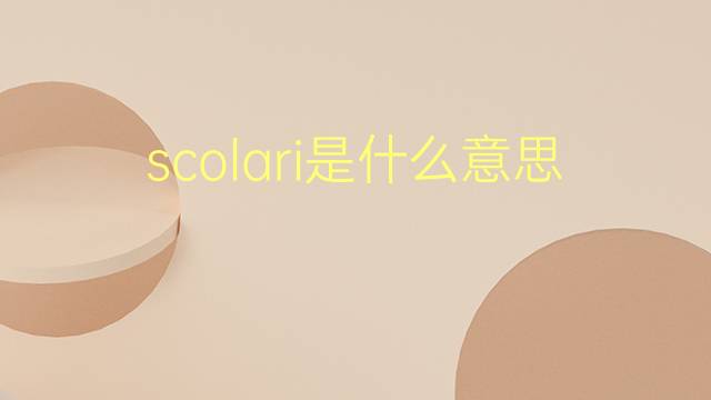 scolari是什么意思 scolari的翻译、读音、例句、中文解释