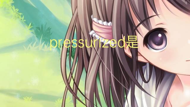 pressurized是什么意思 pressurized的翻译、读音、例句、中文解释