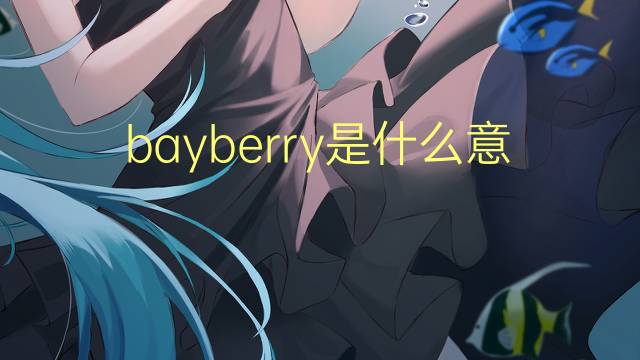 bayberry是什么意思 bayberry的翻译、读音、例句、中文解释