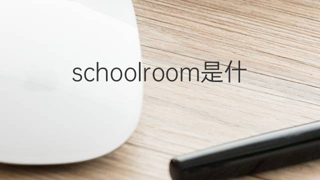 schoolroom是什么意思 schoolroom的翻译、读音、例句、中文解释