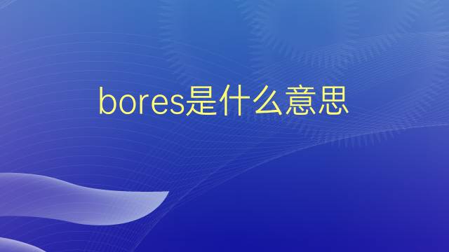 bores是什么意思 bores的翻译、读音、例句、中文解释