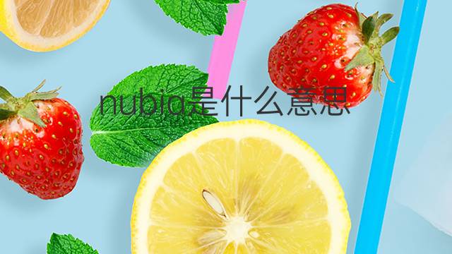 nubia是什么意思 nubia的翻译、读音、例句、中文解释