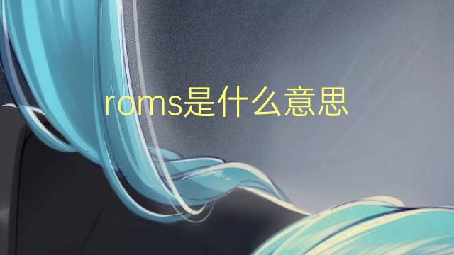 roms是什么意思 roms的翻译、读音、例句、中文解释