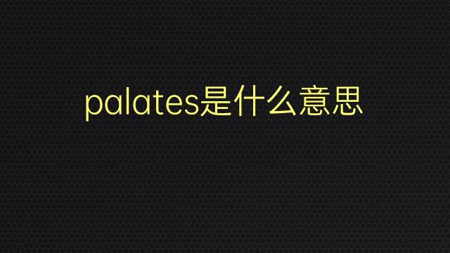 palates是什么意思 palates的翻译、读音、例句、中文解释