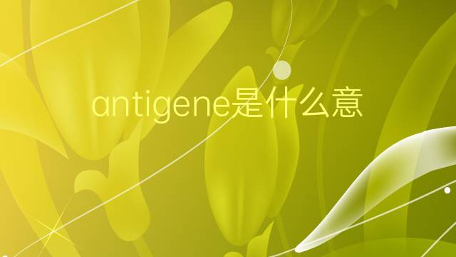 antigene是什么意思 antigene的翻译、读音、例句、中文解释