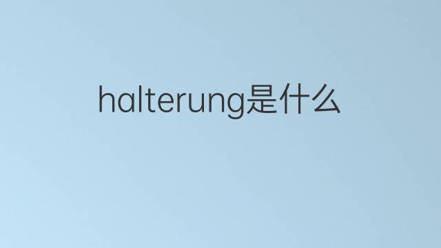 halterung是什么意思 halterung的翻译、读音、例句、中文解释