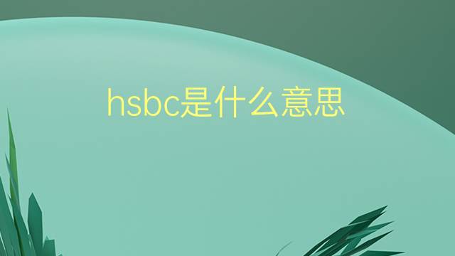 hsbc是什么意思 hsbc的翻译、读音、例句、中文解释