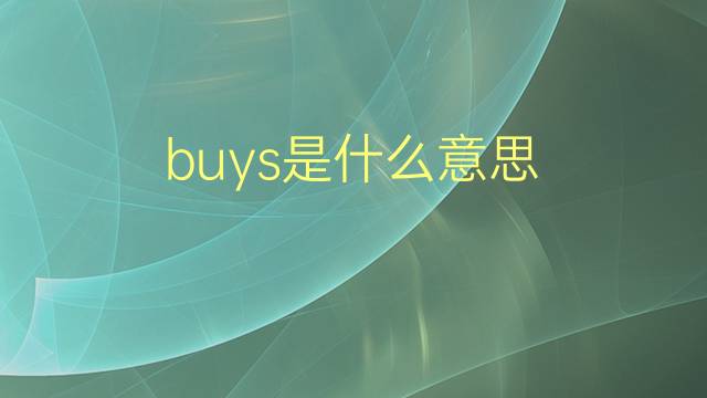 buys是什么意思 buys的翻译、读音、例句、中文解释