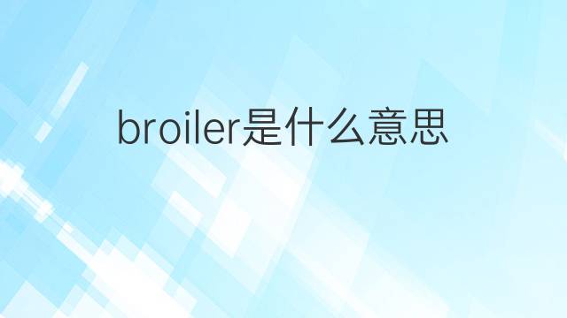 broiler是什么意思 broiler的翻译、读音、例句、中文解释