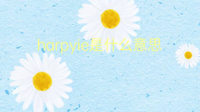 harpyie是什么意思 harpyie的翻译、读音、例句、中文解释