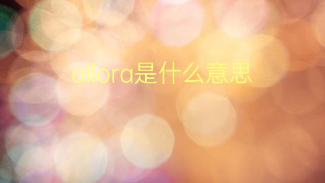 allora是什么意思 allora的翻译、读音、例句、中文解释