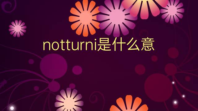 notturni是什么意思 notturni的翻译、读音、例句、中文解释