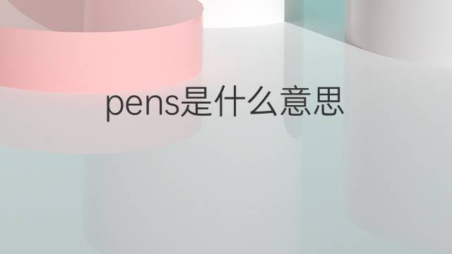 pens是什么意思 pens的翻译、读音、例句、中文解释