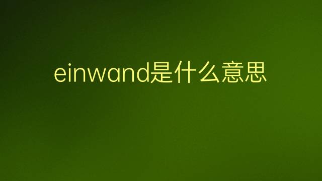 einwand是什么意思 einwand的翻译、读音、例句、中文解释