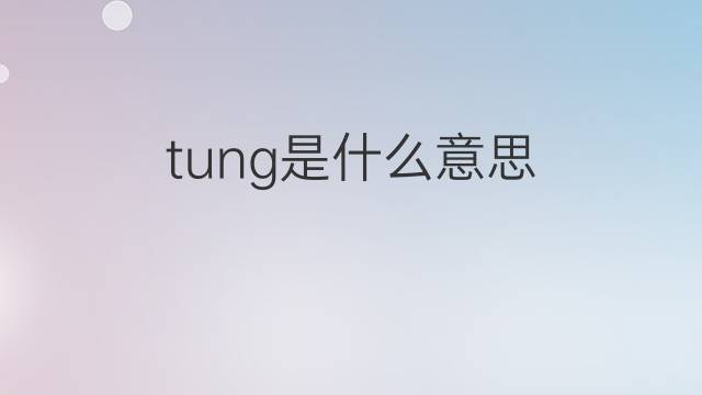 tung是什么意思 tung的翻译、读音、例句、中文解释