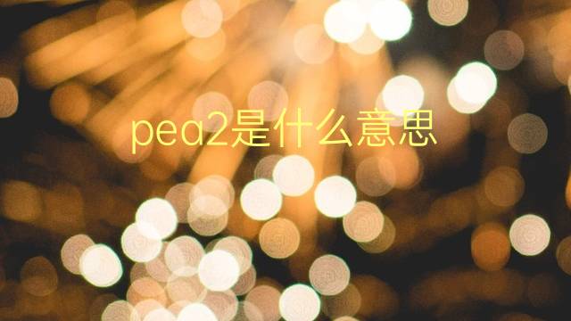 pea2是什么意思 pea2的翻译、读音、例句、中文解释