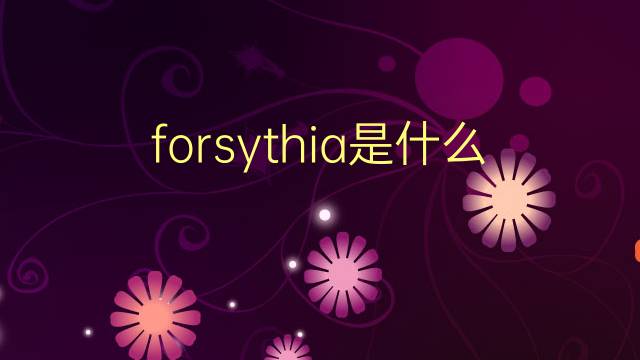 forsythia是什么意思 forsythia的翻译、读音、例句、中文解释