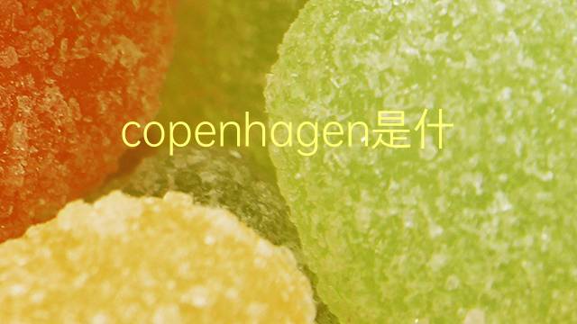 copenhagen是什么意思 copenhagen的翻译、读音、例句、中文解释