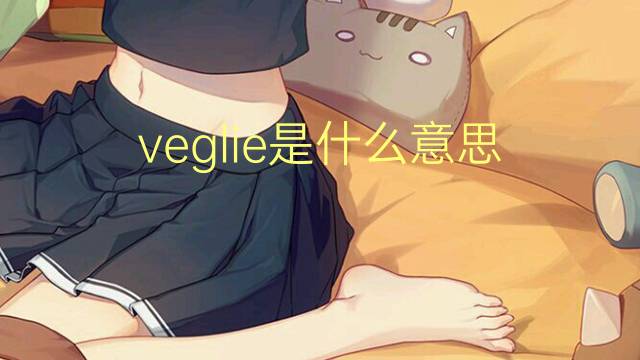 veglie是什么意思 veglie的翻译、读音、例句、中文解释