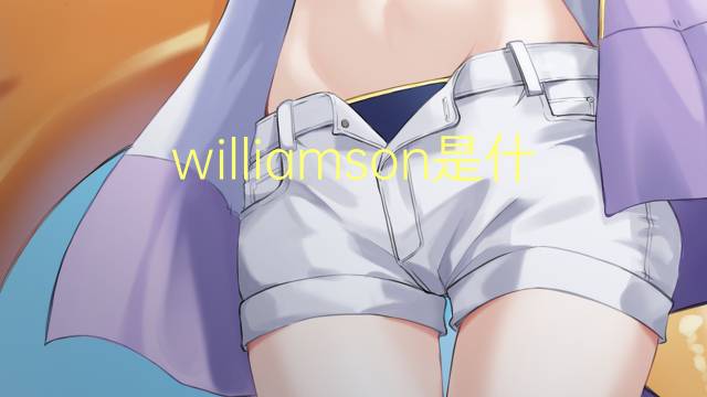 williamson是什么意思 williamson的翻译、读音、例句、中文解释