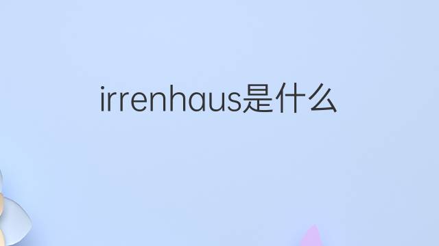 irrenhaus是什么意思 irrenhaus的翻译、读音、例句、中文解释