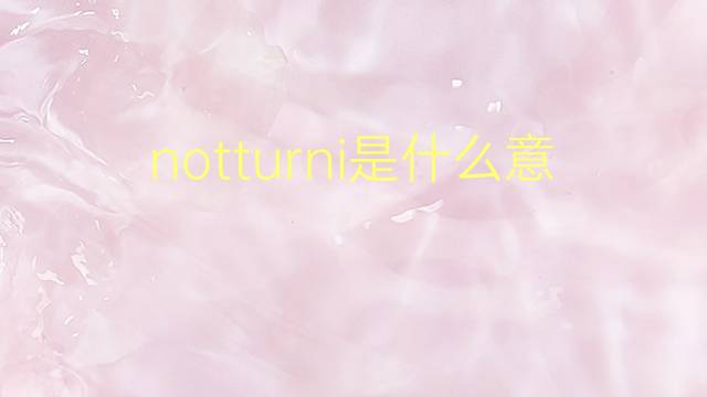 notturni是什么意思 notturni的翻译、读音、例句、中文解释