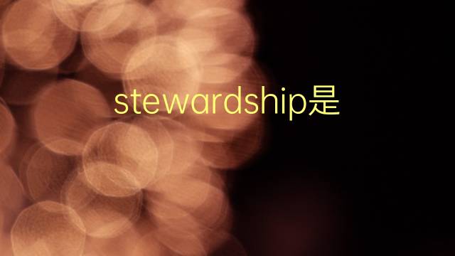 stewardship是什么意思 stewardship的翻译、读音、例句、中文解释