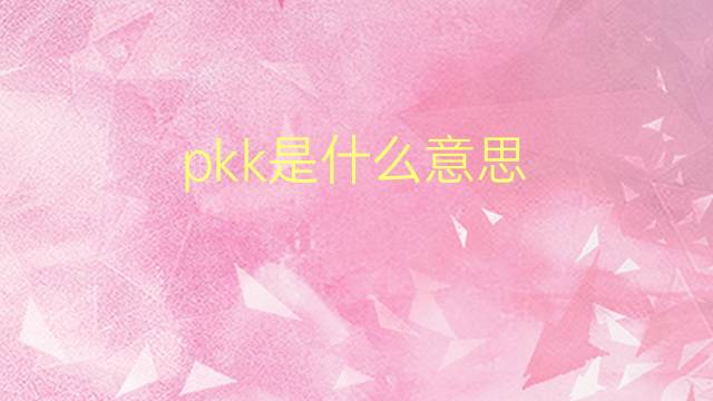 pkk是什么意思 pkk的翻译、读音、例句、中文解释